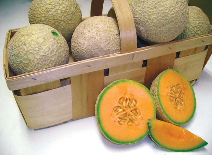 Benefits Of the Cantaloupe Fruit:3 healthy advantage